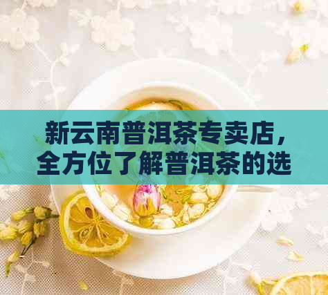 新云南普洱茶专卖店，全方位了解普洱茶的选购、品质与冲泡技巧