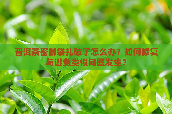 普洱茶密封袋扎破了怎么办？如何修复与避免类似问题发生？