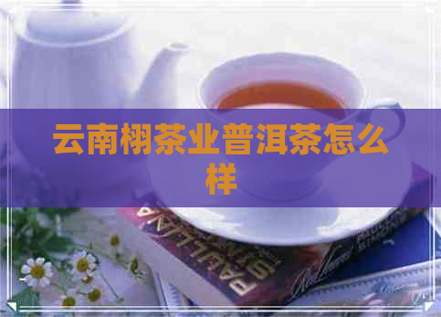 云南栩茶业普洱茶怎么样