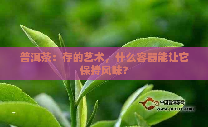 普洱茶：存的艺术，什么容器能让它保持风味？