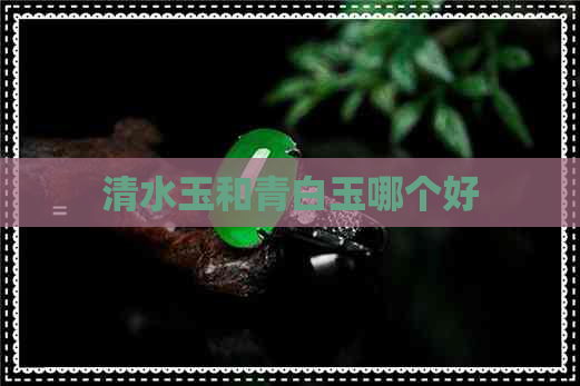 清水玉和青白玉哪个好