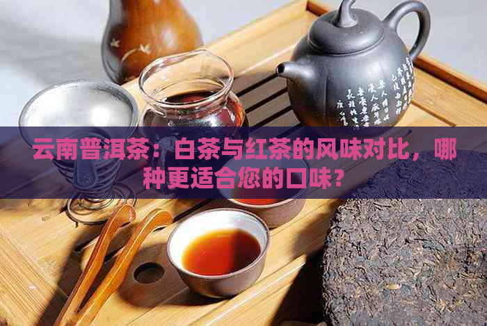 云南普洱茶：白茶与红茶的风味对比，哪种更适合您的口味？