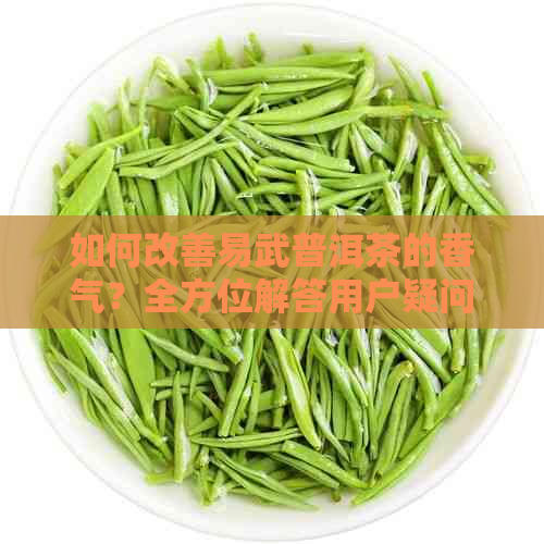 如何改善易武普洱茶的香气？全方位解答用户疑问