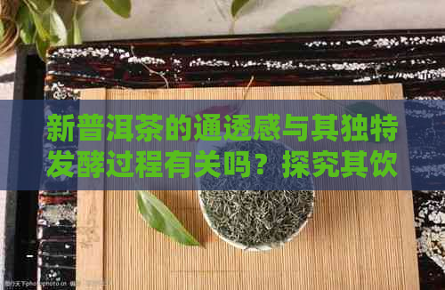 新普洱茶的通透感与其独特发酵过程有关吗？探究其饮用效果和原因