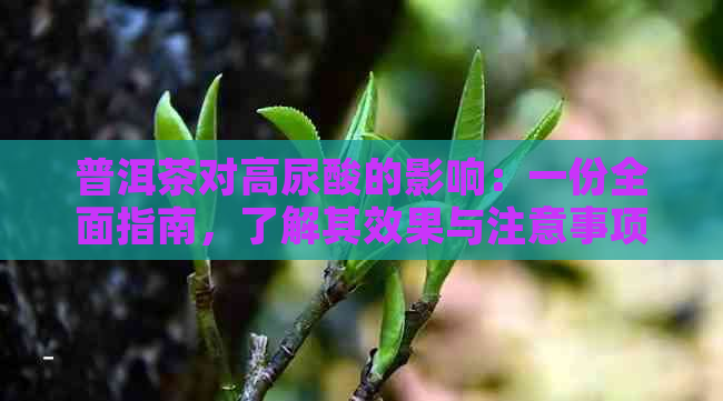 普洱茶对高尿酸的影响：一份全面指南，了解其效果与注意事项