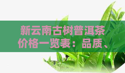 新云南古树普洱茶价格一览表：品质、年份与市场趋势解析