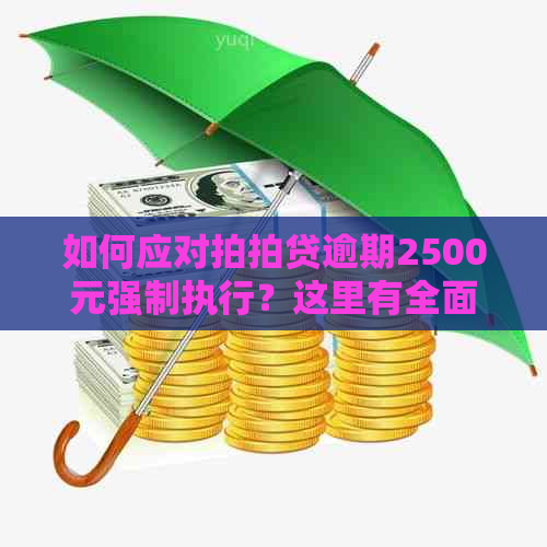 如何应对逾期2500元强制执行？这里有全面解决方案！