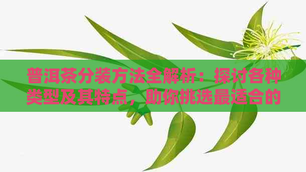 普洱茶分装方法全解析：探讨各种类型及其特点，助你挑选最适合的茶品