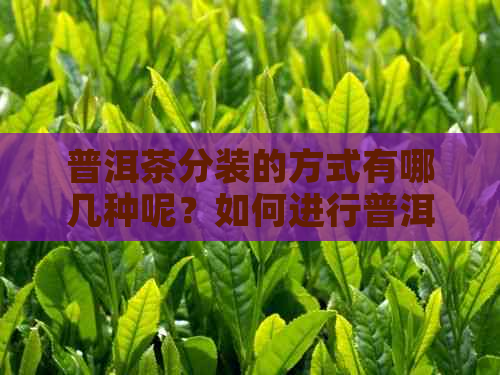 普洱茶分装的方式有哪几种呢？如何进行普洱茶的分装？