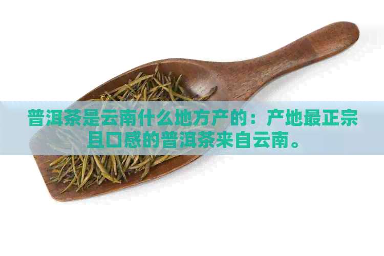 普洱茶是云南什么地方产的：产地最正宗且口感的普洱茶来自云南。