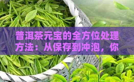 普洱茶元宝的全方位处理方法：从保存到冲泡，你想知道的一切都在这儿！