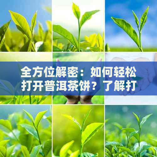 全方位解密：如何轻松打开普洱茶饼？了解打开方法与注意事项