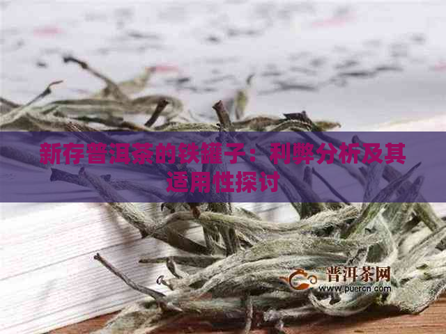 新存普洱茶的铁罐子：利弊分析及其适用性探讨