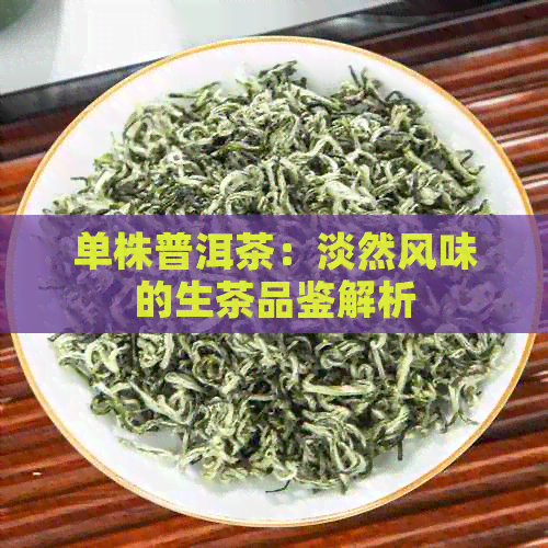 单株普洱茶：淡然风味的生茶品鉴解析