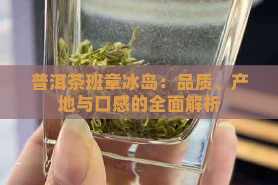 普洱茶班章冰岛：品质、产地与口感的全面解析