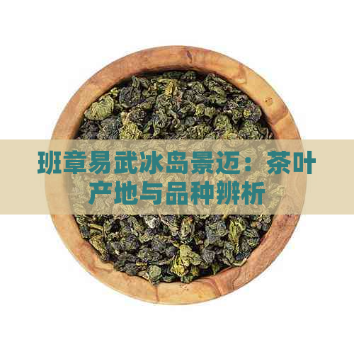 班章易武冰岛景迈：茶叶产地与品种辨析