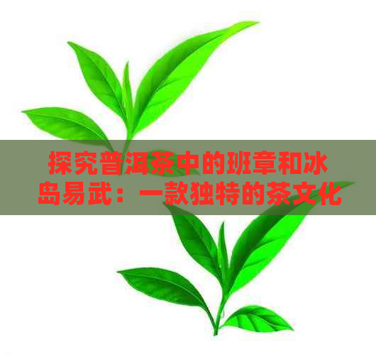 探究普洱茶中的班章和冰岛易武：一款独特的茶文化之旅