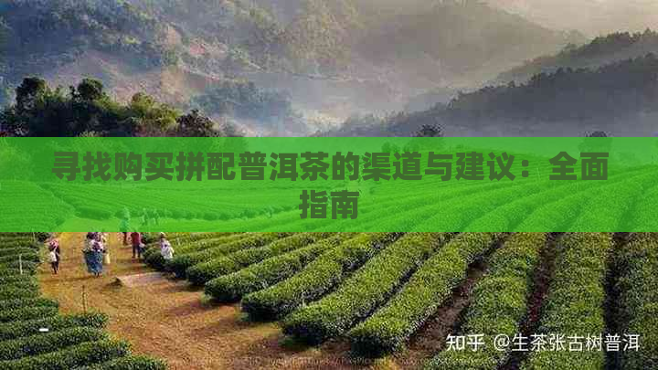 寻找购买拼配普洱茶的渠道与建议：全面指南