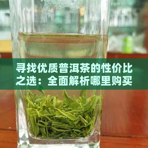 寻找优质普洱茶的性价比之选：全面解析哪里购买普洱茶最实