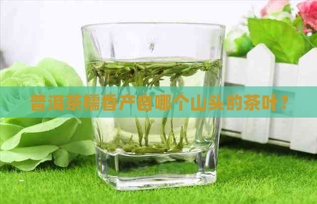 普洱茶糯香产自哪个山头的茶叶？