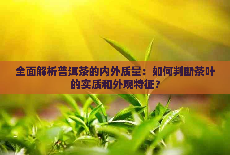 全面解析普洱茶的内外质量：如何判断茶叶的实质和外观特征？