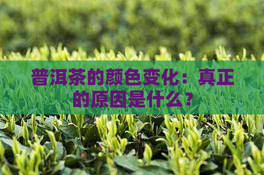 普洱茶的颜色变化：真正的原因是什么？