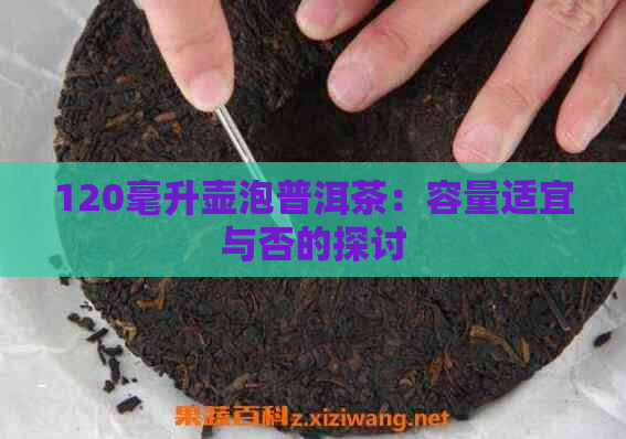 120毫升壶泡普洱茶：容量适宜与否的探讨