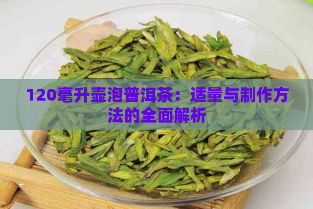 120毫升壶泡普洱茶：适量与制作方法的全面解析