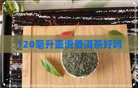 120毫升壶泡普洱茶好吗