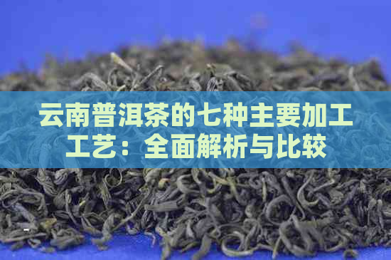 云南普洱茶的七种主要加工工艺：全面解析与比较