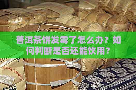 普洱茶饼发霉了怎么办？如何判断是否还能饮用？