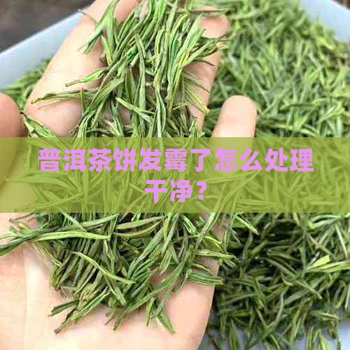 普洱茶饼发霉了怎么处理干净？