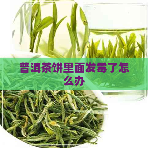 普洱茶饼里面发霉了怎么办