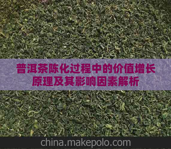 普洱茶陈化过程中的价值增长原理及其影响因素解析