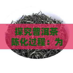 探究普洱茶陈化过程：为什么需要存放数年才能达到口感？