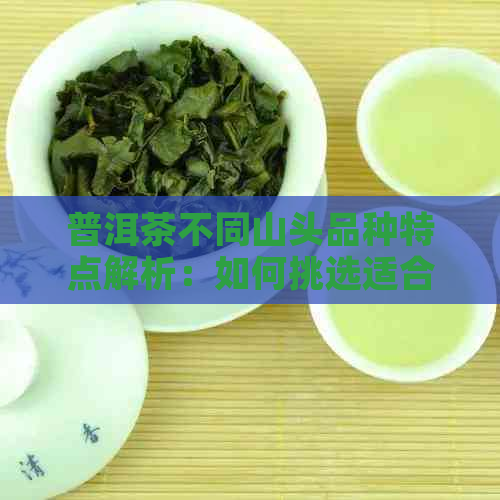 普洱茶不同山头品种特点解析：如何挑选适合自己口味的普洱茶？