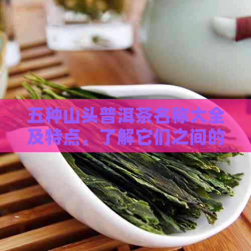 五种山头普洱茶名称大全及特点，了解它们之间的差异。