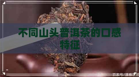 不同山头普洱茶的口感特征