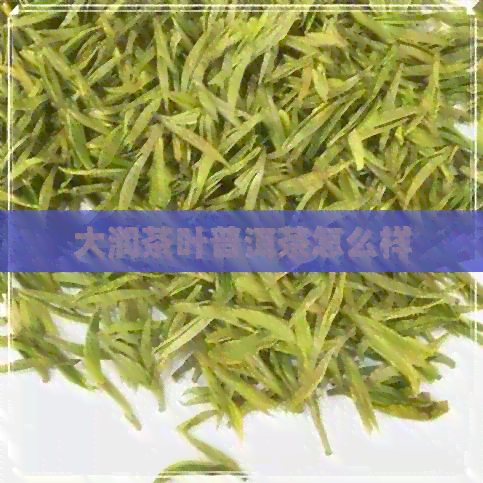 大润茶叶普洱茶怎么样