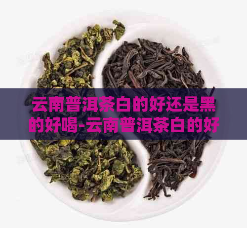 云南普洱茶白的好还是黑的好喝-云南普洱茶白的好还是黑的好喝呢