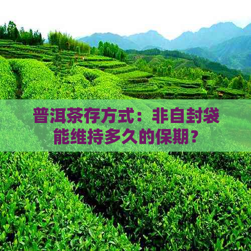 普洱茶存方式：非自封袋能维持多久的保期？