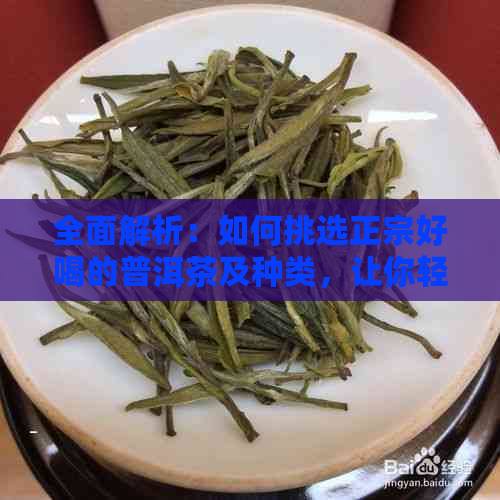 全面解析：如何挑选正宗好喝的普洱茶及种类，让你轻松成为普洱茶专家！