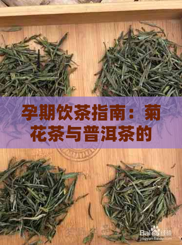 孕期饮茶指南：菊花茶与普洱茶的安全性和副作用