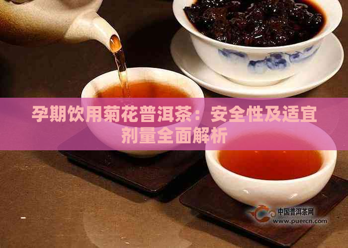 孕期饮用菊花普洱茶：安全性及适宜剂量全面解析