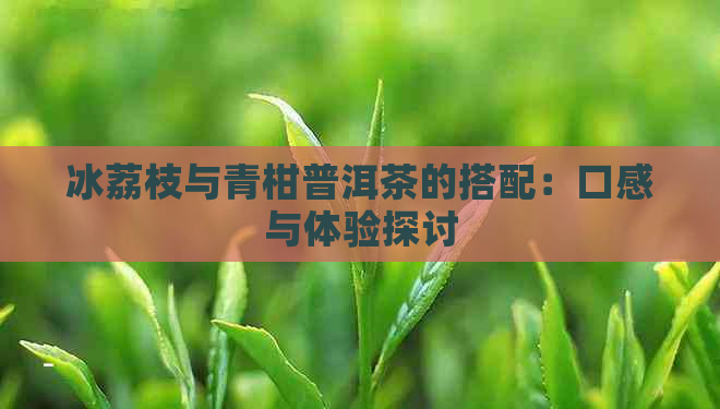 冰荔枝与青柑普洱茶的搭配：口感与体验探讨