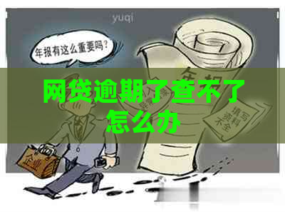 网贷逾期了查不了怎么办