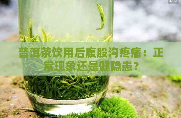 普洱茶饮用后腹股沟疼痛：正常现象还是健隐患？