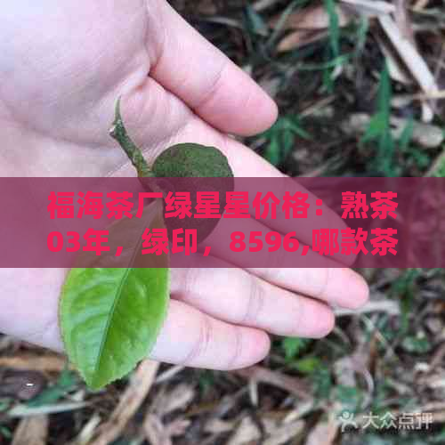 福海茶厂绿星星价格：熟茶03年，绿印，8596,哪款茶好？