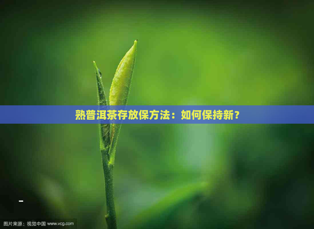 熟普洱茶存放保方法：如何保持新？