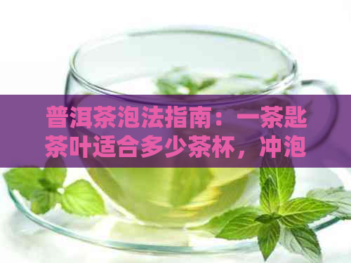 普洱茶泡法指南：一茶匙茶叶适合多少茶杯，冲泡几次才？